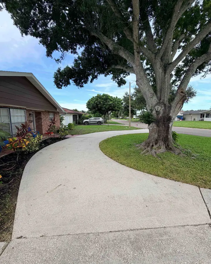 The curved driveway after pressure washing, seen from the front walk: uniform light gray