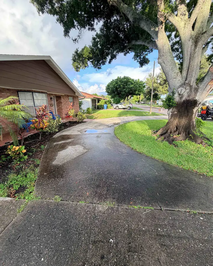 The curved driveway before pressure washing: dark, wet, and streaked with grime
